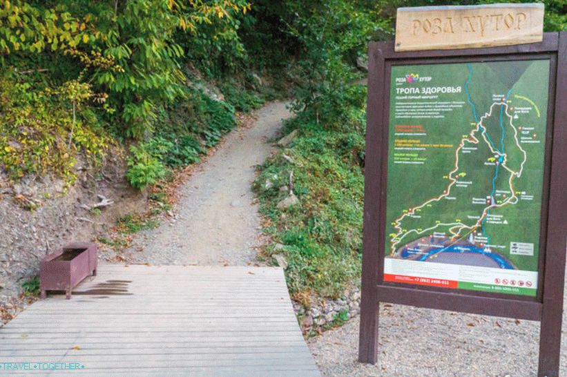Health Path in Rosa Khutor - a leisurely walk through the forest