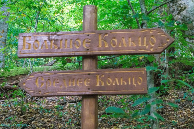 Health Path in Rosa Khutor - a leisurely walk through the forest