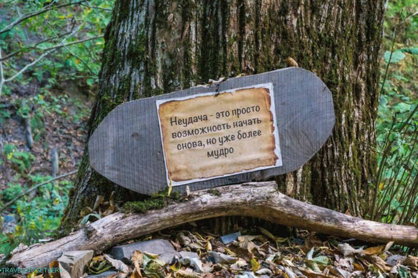 Health Path in Rosa Khutor - a leisurely walk through the forest