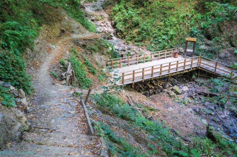 Health Path in Rosa Khutor - a leisurely walk through the forest