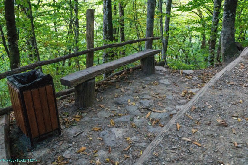 Health Path in Rosa Khutor - a leisurely walk through the forest
