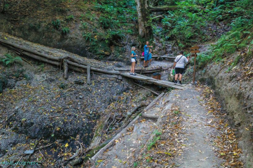 Health Path in Rosa Khutor - a leisurely walk through the forest