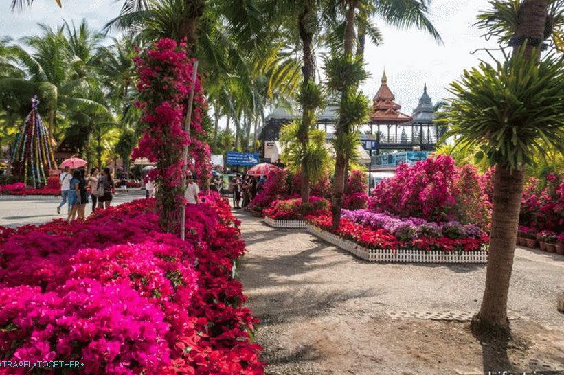 Nong Nooch Tropical Park in Pattaya is the main attraction
