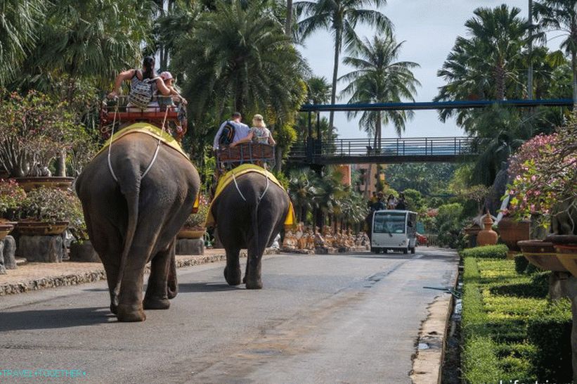 You can ride on elephants in the territory