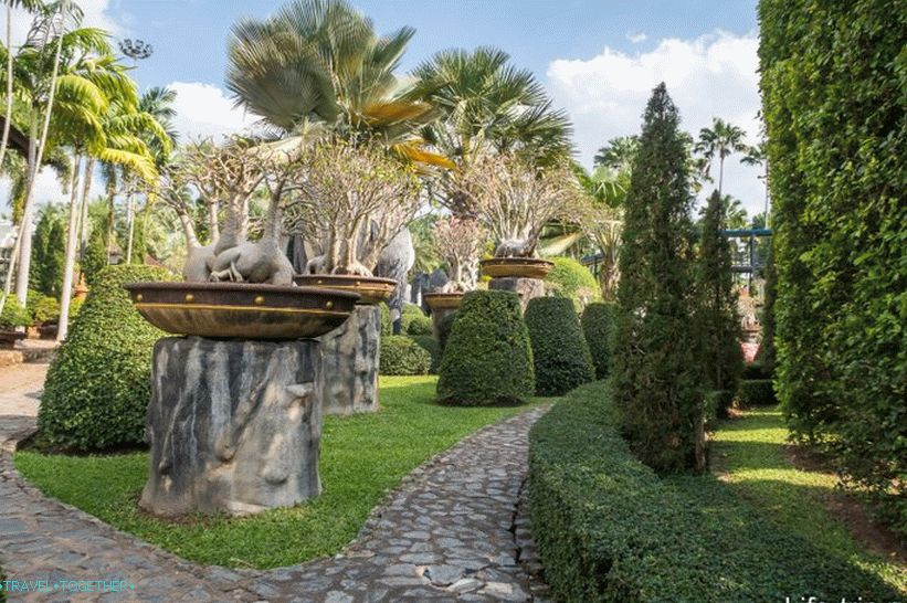 Nong Nooch Tropical Park in Pattaya is the main attraction