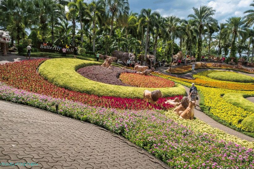 Nong Nooch Tropical Park in Pattaya is the main attraction