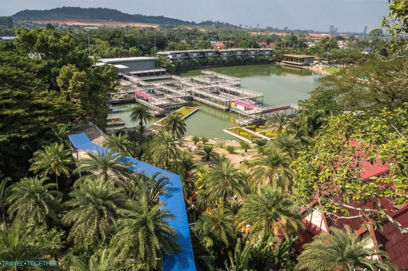 Nong Nooch Tropical Park in Pattaya is the main attraction