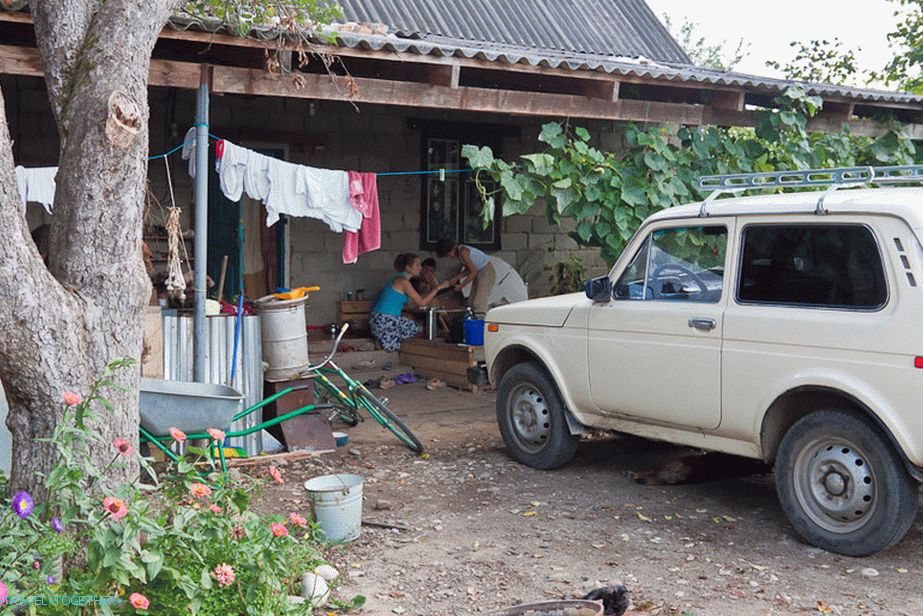 Near the house in the yard