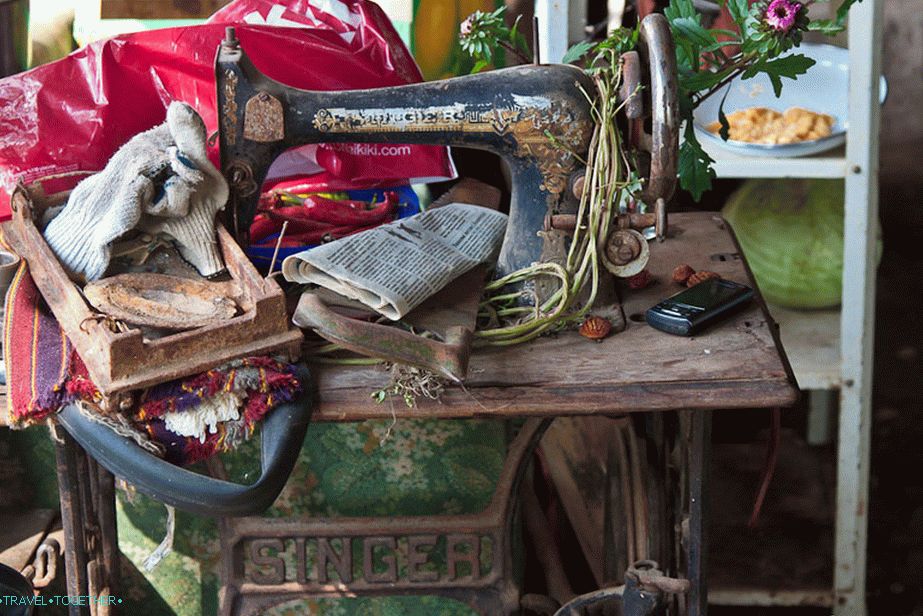 Rare things come to life here