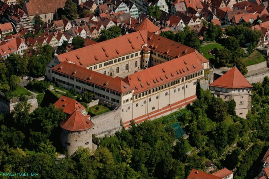 Castle Gogentiubingen