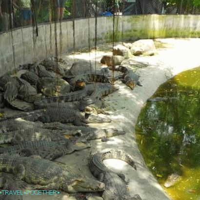 Phuket Zoo