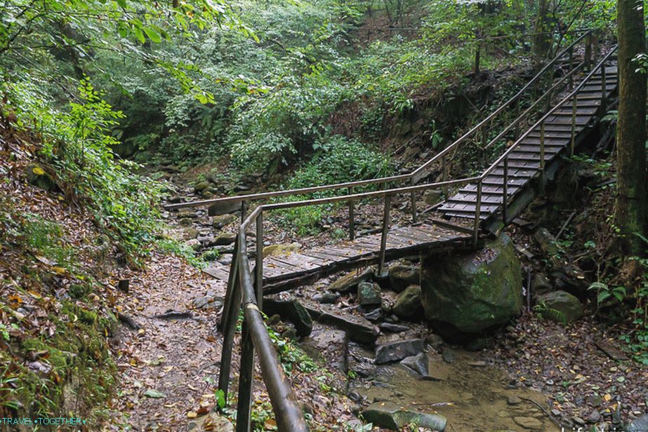Bridge over the river