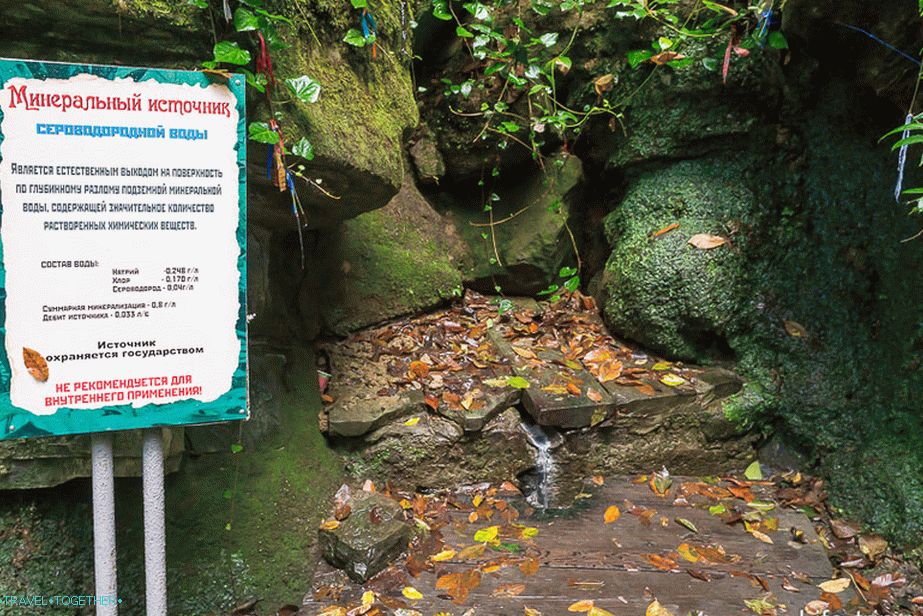 Hydrogen source and warning label