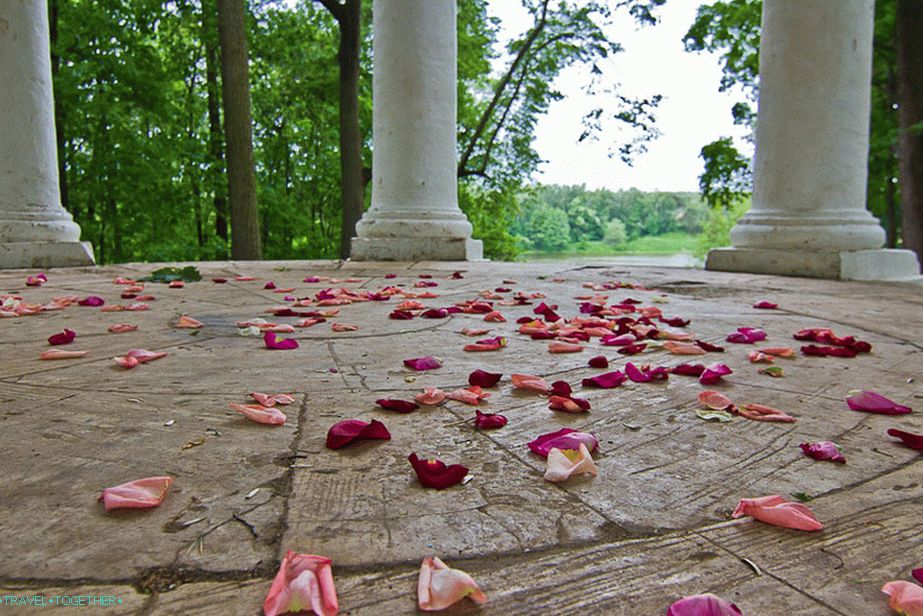 Rose petals in the gazebo after the wedding