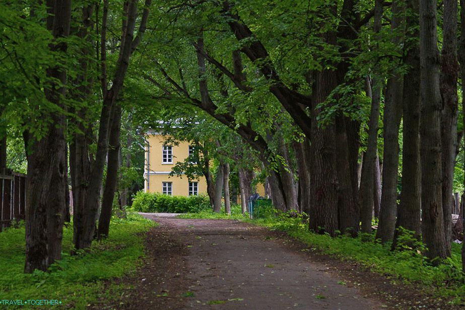 Linden Alley in the estate Sukhanovo