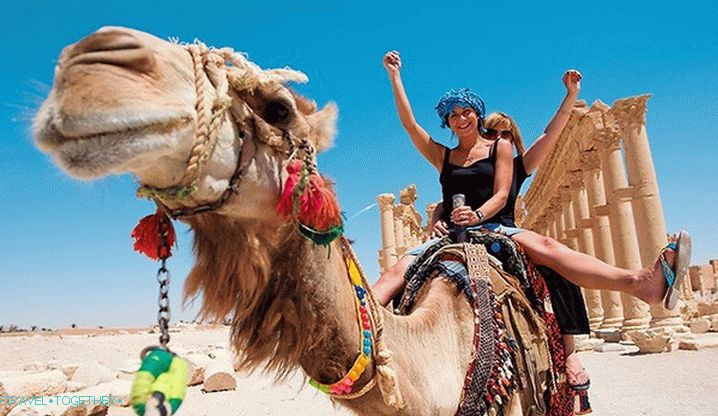 To Egypt or to Greece?