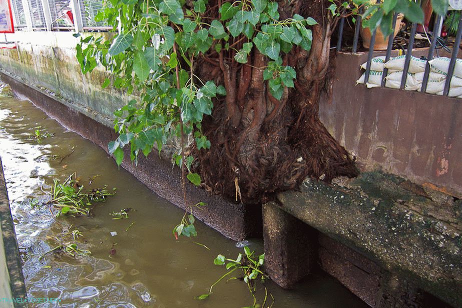 You want to live, and not so raskoryachishsya