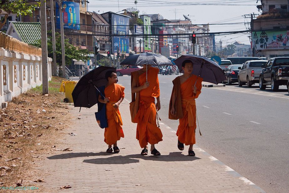 All monks with umbrellas