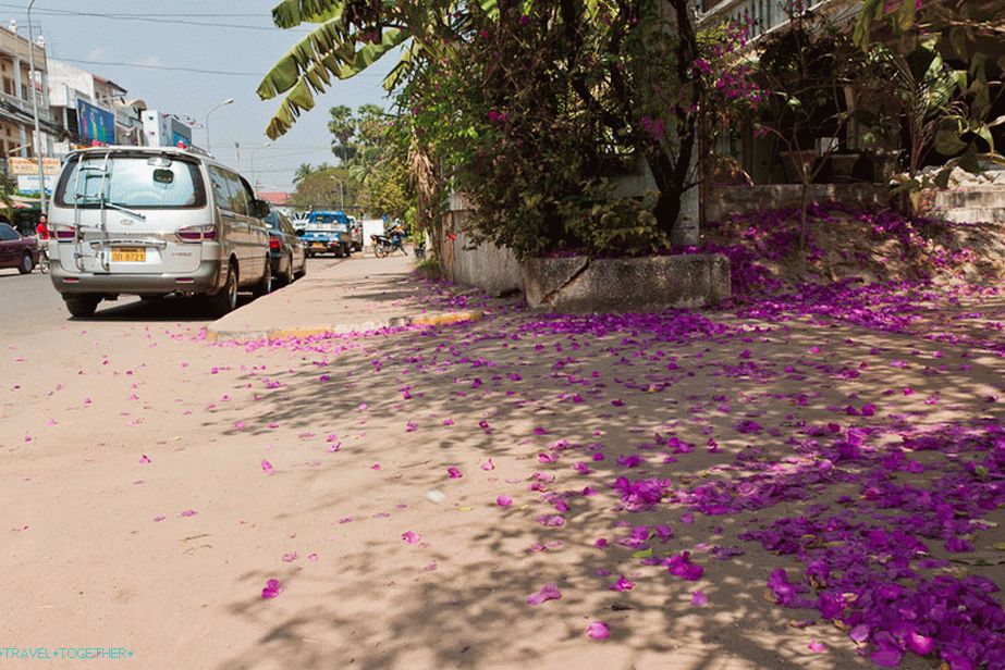Sidewalks in colors