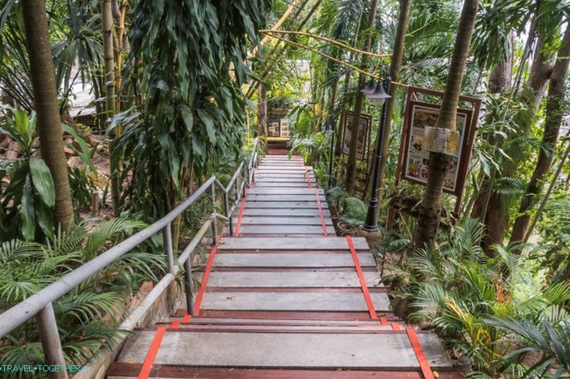 Viewpoint Tunk Ka Cafe in Phuket - near the viewing Rang Hill