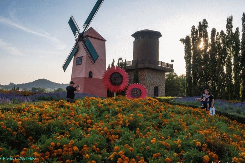 Silver Lake Vineyard in Pattaya - good walk and wine