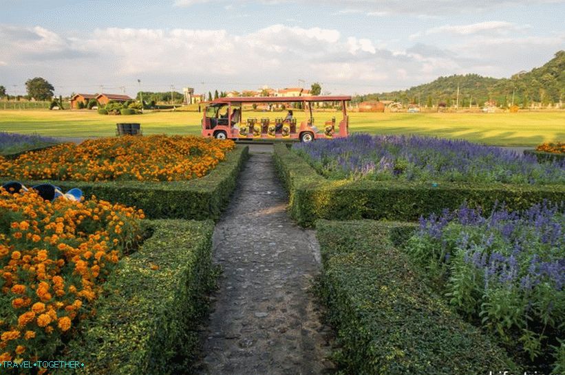 Silver Lake Vineyard in Pattaya - good walk and wine