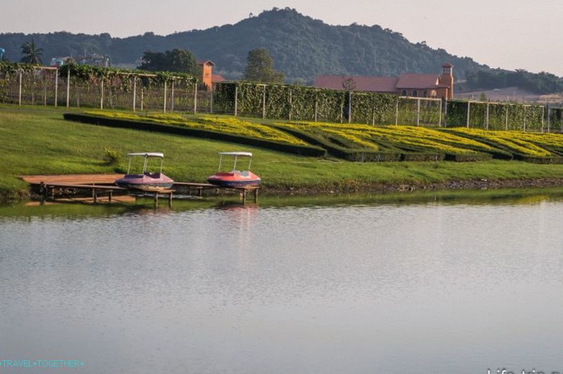 Silver Lake Vineyard in Pattaya - good walk and wine