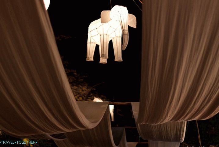 Exhibition in Chiang Mai