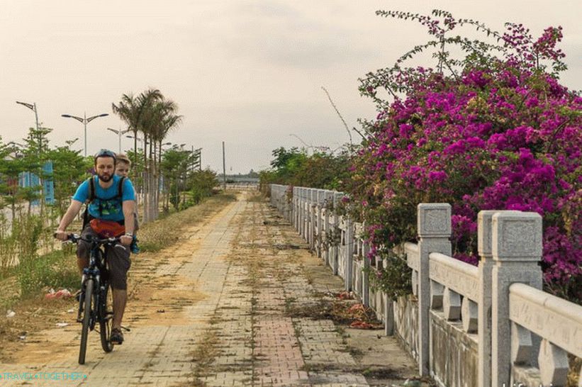 Beautiful bushes along the way