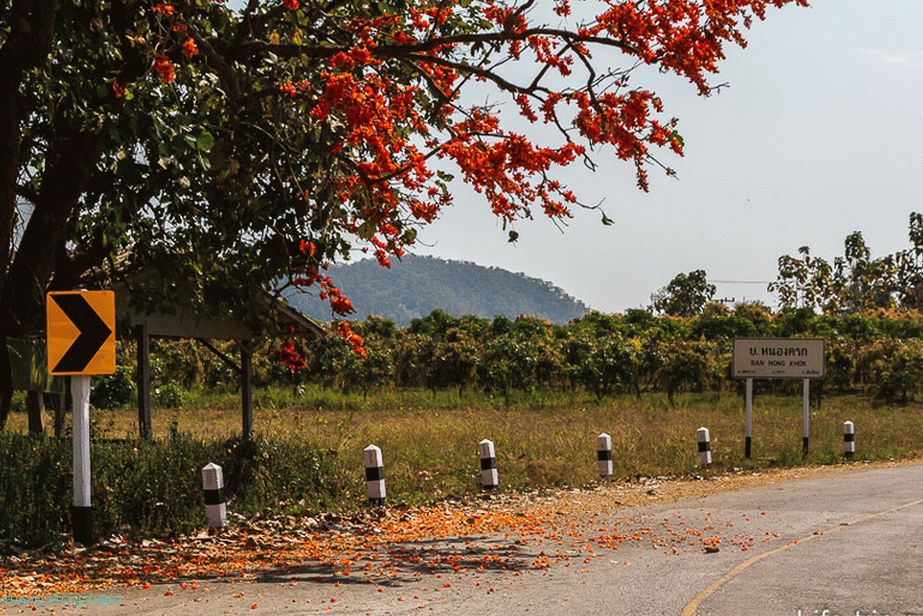 The roads in the north are very beautiful