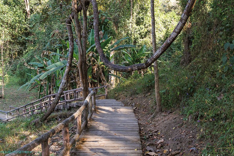 Path to the holy source