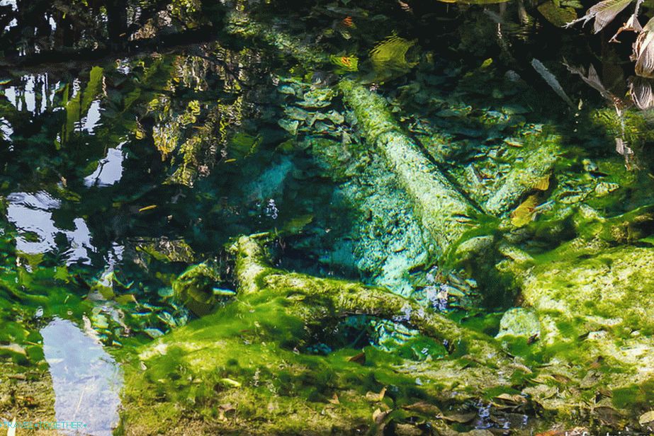 The source may be holy, but it has a peculiar appearance.