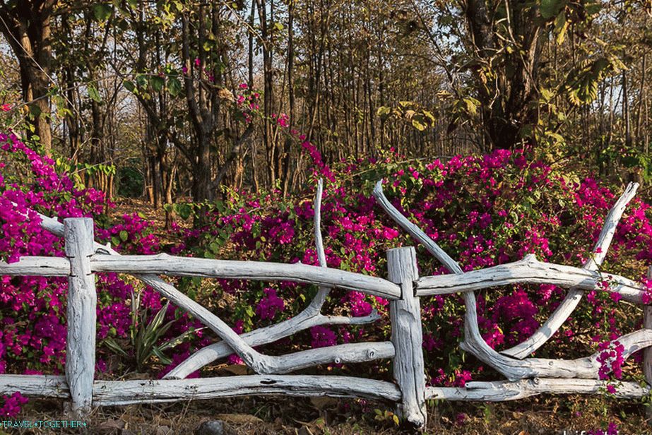 On the track here is such a beautiful fence