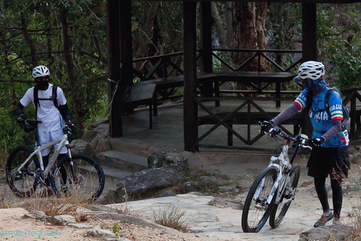 Bicycle-ninjas also love nature