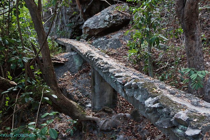 Paths in Doi Suthep National Park