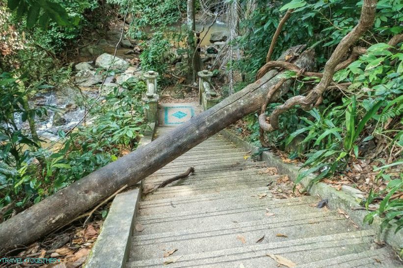 From the stairs to the wild cascade leads another staircase, but already down