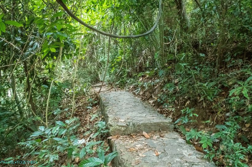 After 5 minutes the trail ends