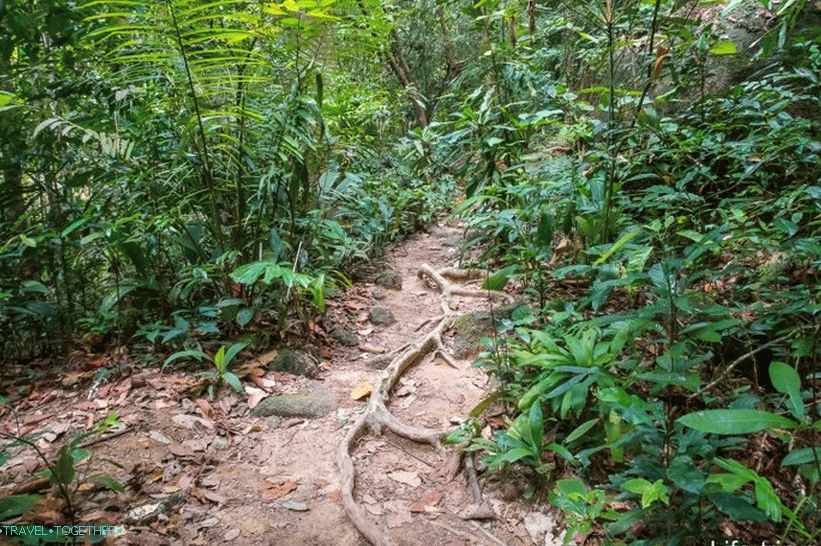 But I am stubborn, went even further