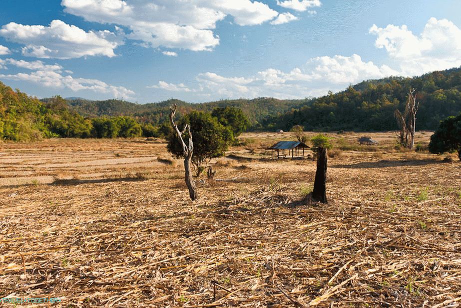 Rural Landscapes of Thailand