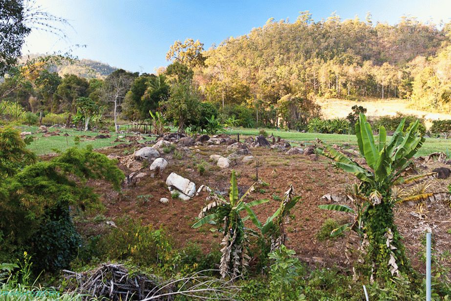 Rural Landscapes of Thailand