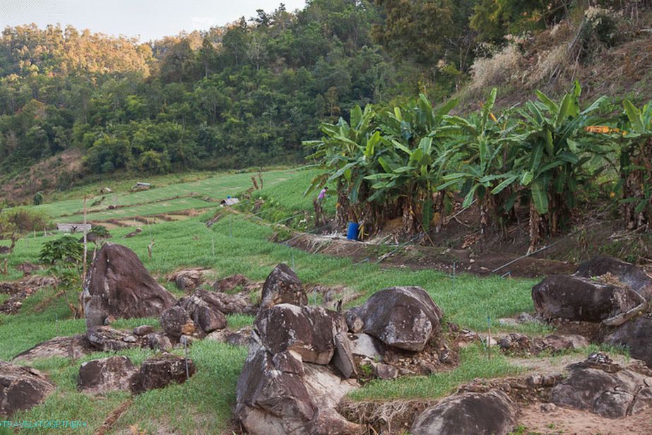 Rural Landscapes of Thailand
