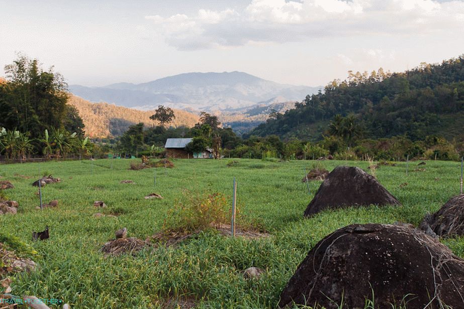 Rural Landscapes of Thailand