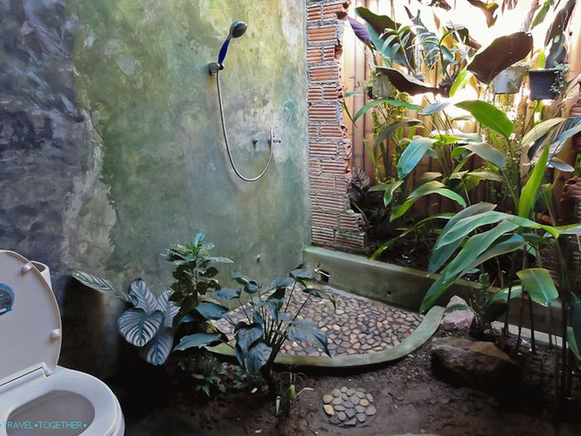 In one of the cafes an original toilet with a broken wall