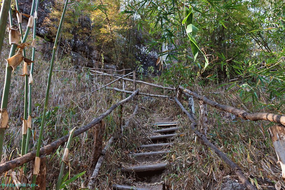 On the stairs to the canyon