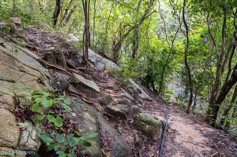 This is how the path looks like