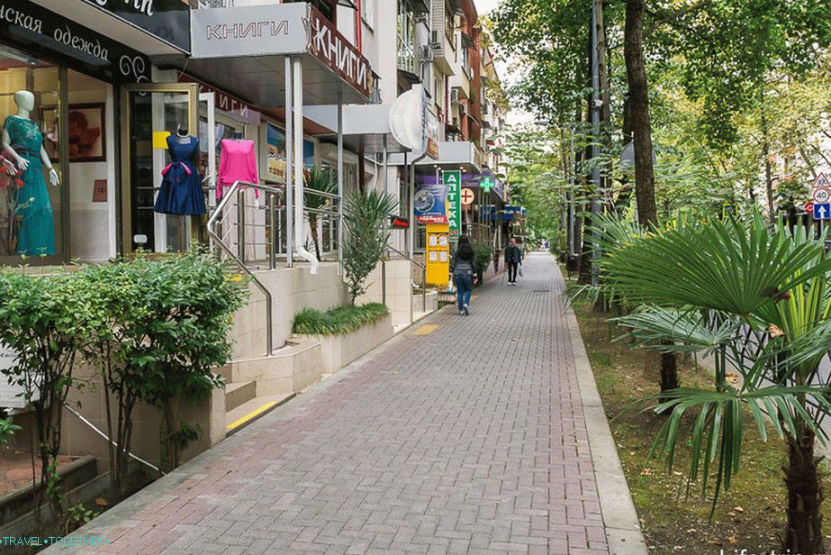 A street in the center of Sochi