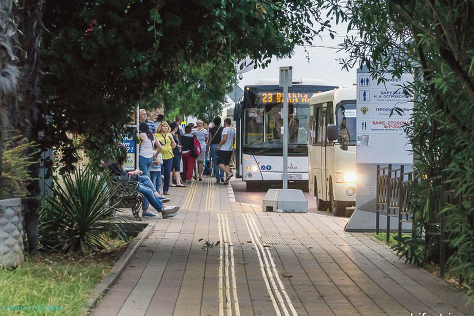 Buses are convenient, but the bus is not very