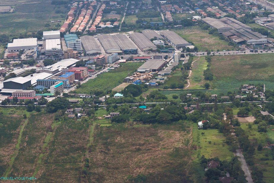 Sun and greens in Bangkok