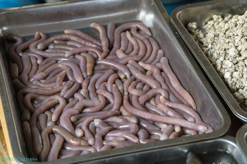 Chinese snacks, mmm ...