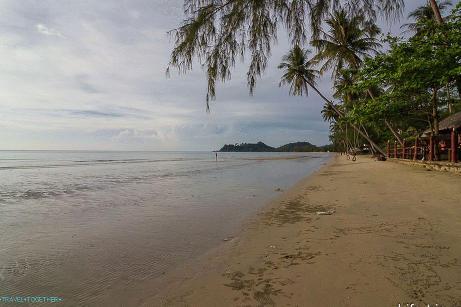 Klong Prao in the Palm Forest Area